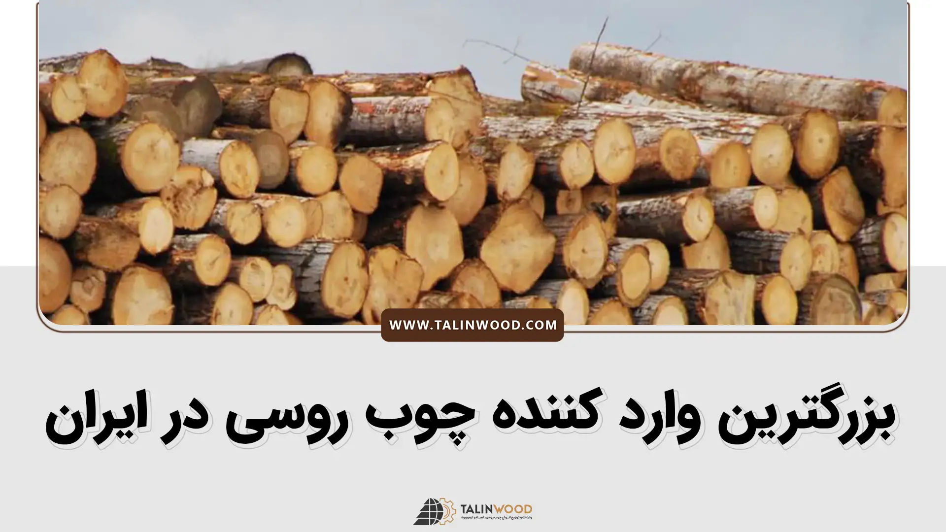 بزرگترین وارد کننده چوب روسی در ایران